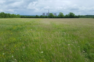 Ashtons Meadow - Michael Walker