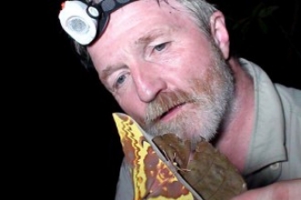George Gavin