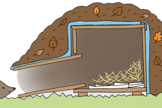 Hedgehog house illustration
