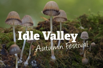 Idle Autumn Festival Event Fungi Alan West