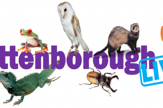 Attenborough Live