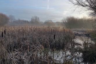 Gresham Marsh credit Sarah Hill