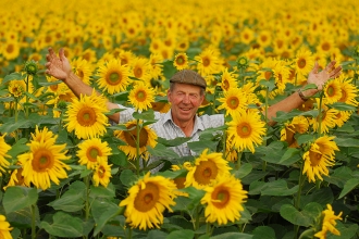 Nicholas stands in a field of sunflowers