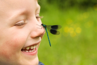 Eye to Eye with a Damselfly