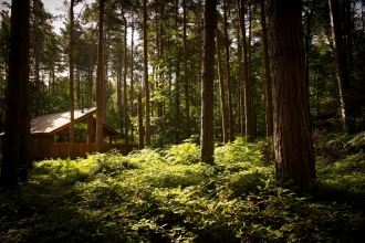 Sherwood Forest - Forest Holidays