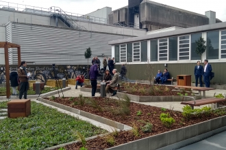 Victoria Centre Roof Garden, Hosta Consulting