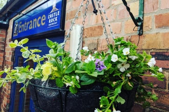 Hanging basket at the bread and bitter