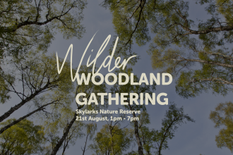 Wilder Woodland Gathering, Skylarks Nature Reserve, 21st August, 1pm-7pm
