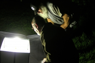 Colin Watkin Moth Trapping