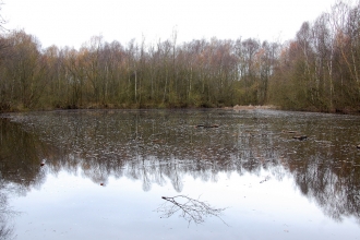 Daneshill Lakes