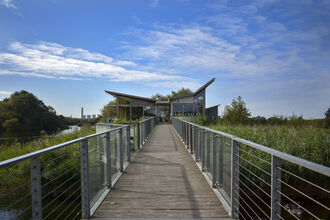 Attenborough Nature Centre DSC_0281 EDITED.jpg