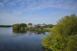 Attenborough Nature Centre DSC_0310EDITED.jpg