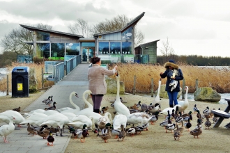 Nature Reserves The Wildlife Trusts