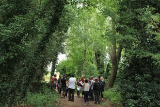 Wilder Woodland Gathering Guided Walk