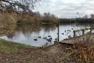 Daneshill Lakes