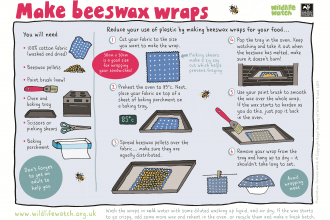 Activity sheet: Beeswax wraps