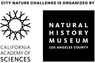City Nature Challenge Logo