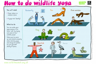 Wildlife Yoga Activity Sheet