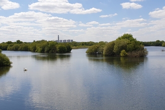 Attenborough Nature Reserve view across the ponds
