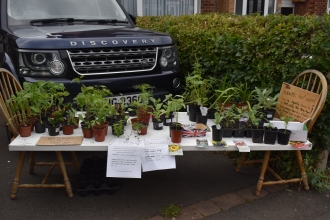 Jayne Bostock's fundraising plant sale