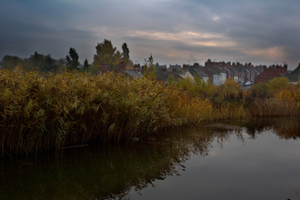 Houses and pond