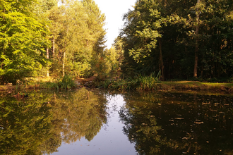Sherwood centre parcs