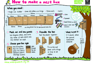 Activity Sheet: How to make a nest box