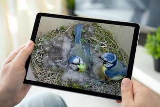 Footage of a blue tit nest from inside a nestbox being viewed on a tablet