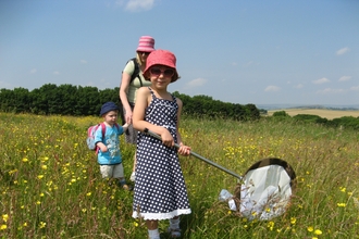 Meadow Sweep