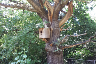 Mansfield bird box at Mayborn Group