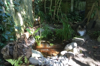 Shepherd Family pond completed