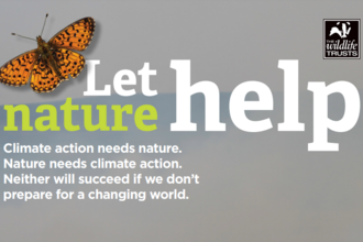 Let nature help. Climate action needs nature. Nature needs climate action. Neither will succeed if we don't prepare for a changing world.