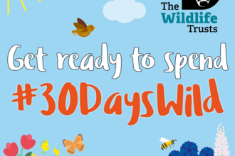 Get ready to spend 30 Days Wild