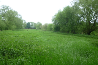 Girton Grasslands