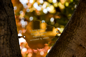 memory leaf in tree