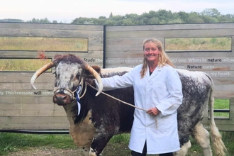 Agnes Kiemel with Longhorn at Collingham Show 2023