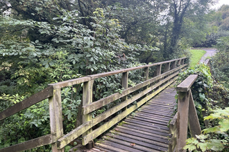 Bridge in a wooded area