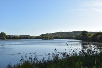 Attenborough Lake View 