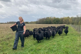 Agnes leading flock of Hebredians
