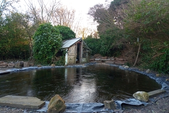 A frozen pond on an allotment
