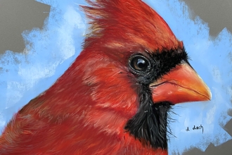 Painting of red and black bird