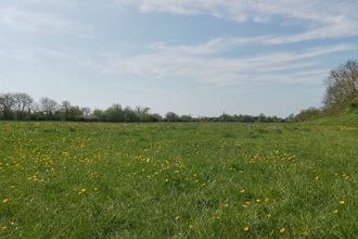 A view across a green meadow with trees in the background