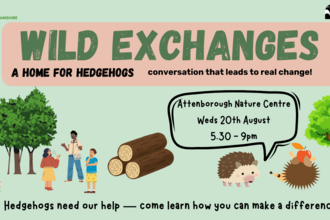 Wild Exchanges: A Home for Hedgehogs - conversation that leads to real change! Attenborough Nature Centre, Weds 20th August, 5:30 - 9pm. Hedgehogs need our help, come learn how you can make a difference  