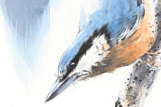 Painting of a bird looking down from a branch