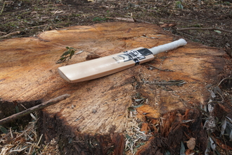 Cricket bat on cricket bat willow tree stump