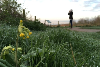 A low view of grass and flowers with a woman birdwatching in background