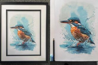 Framed picture of a kingfisher next to original painting