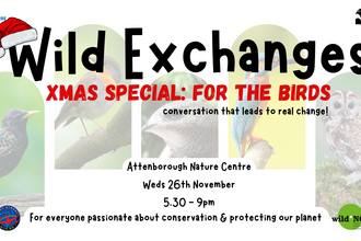 Wild Exchanges Christmas Special: For the Birds - conversation that leads to real change