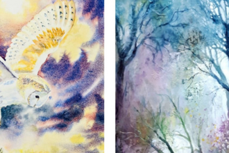 watercolour paintings of an owl and a tree