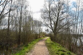 Slightly curving path with grass and wintery, bare trees on each side. A lake is visible through the trees on the right